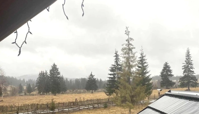 Bilbor Chalet -  Recenzii - Răchitiş
