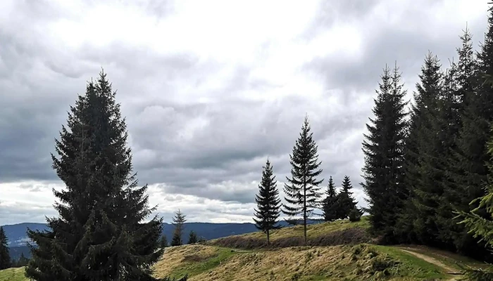Bilbor Chalet - Răchitiş