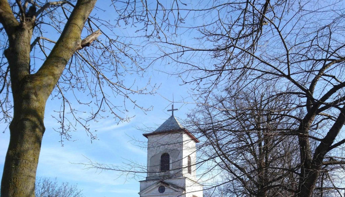 Biserica Adormirea Maicii Domnului Solesti Comentarii - Comuna Solești