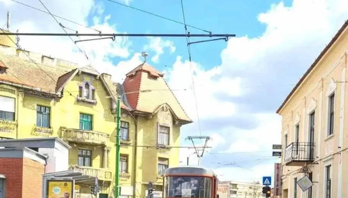 Boul Rosu Residence De La Vizitatori - Arad