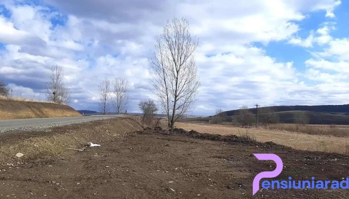 Bradeni Videoclipuri - Brădeni