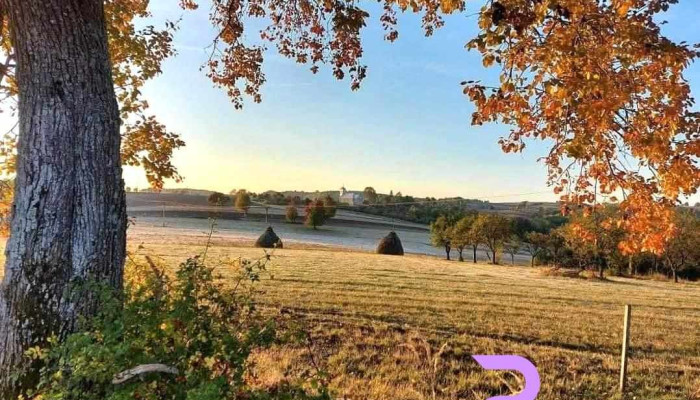 Breazu -  Adresă - Breazu