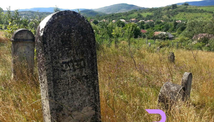 Buciumi -  Prețuri - Buciumi