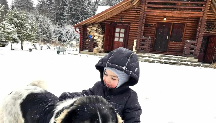 Cabana 5frati Comandău - Comandău