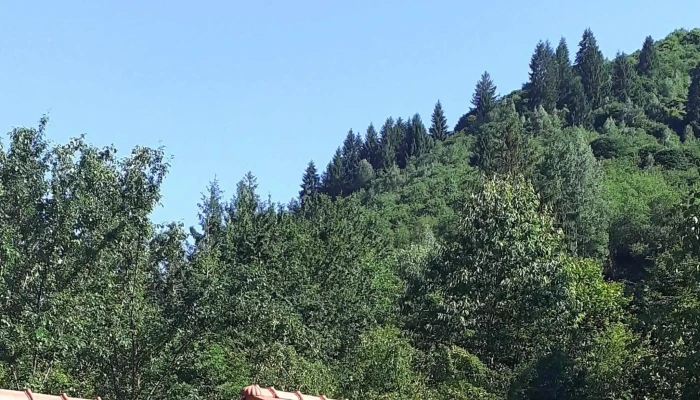 Cabana Adelina - Rășinari