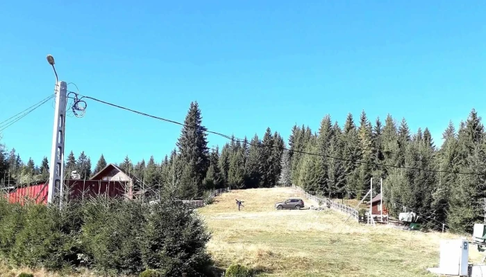 Cabana Baisoara Adresă - Muntele Băişorii