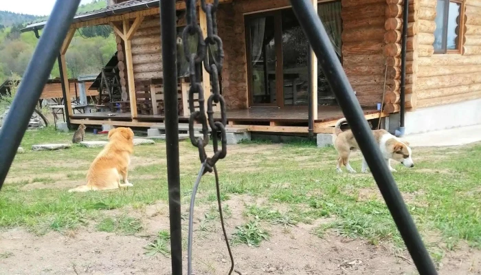 Cabana Caprioru Zăbala - Zăbala
