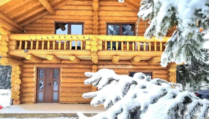 Cabana Dintre Brazi Marisel De La Proprietar - Mărișel