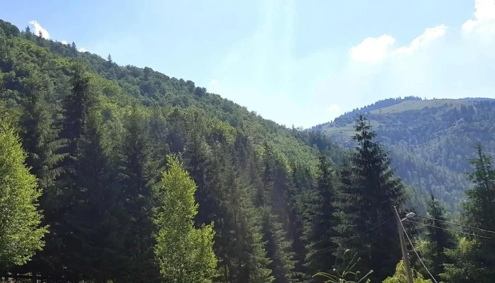 Cabana Eledor -  Număr - Măguri-răcătău