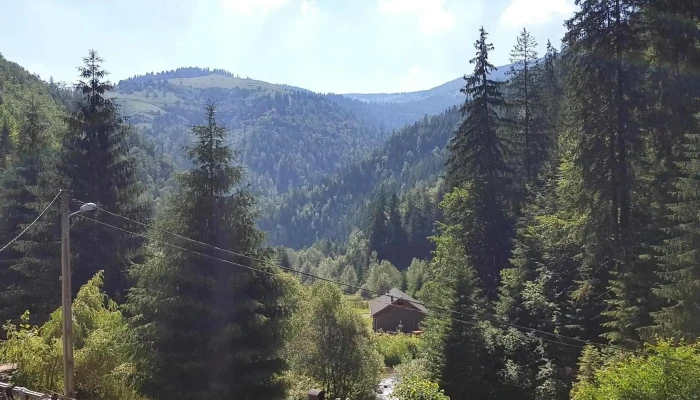 Cabana Eledor -  Site Web - Măguri-răcătău