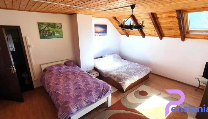 Cabana Lamunte Camere - Cluj-napoca