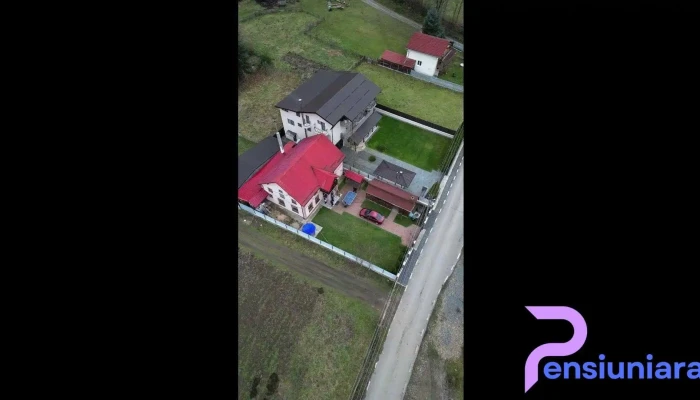 Cabana Lenuta -  Videoclipuri - 1628211