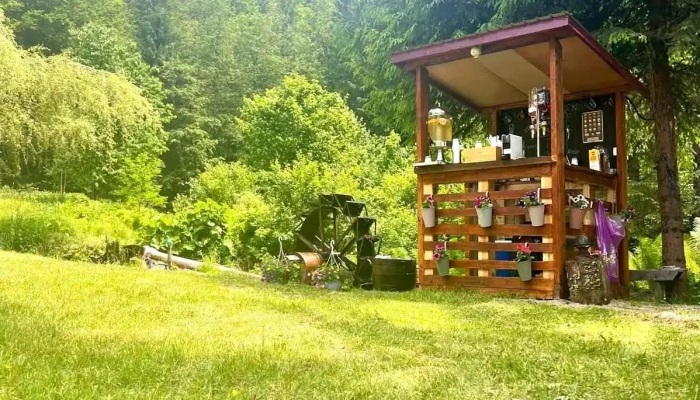 Cabana Marioane - Petrila 335800