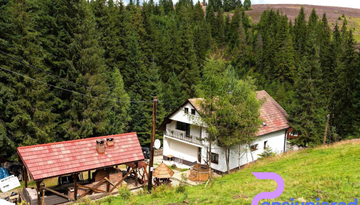 Cabana Poiana Horea - România
