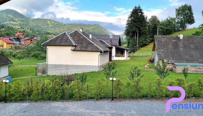Cabana Repedea - Borșa