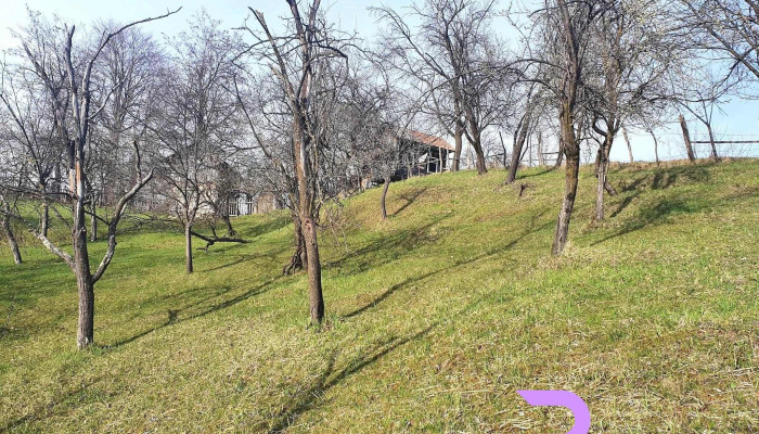 Cabana Rujoiu - România