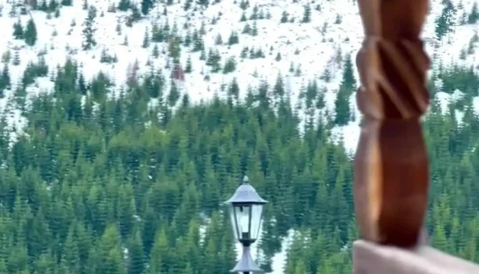 Cabana Rustica Cele Mai Recente - Măguri