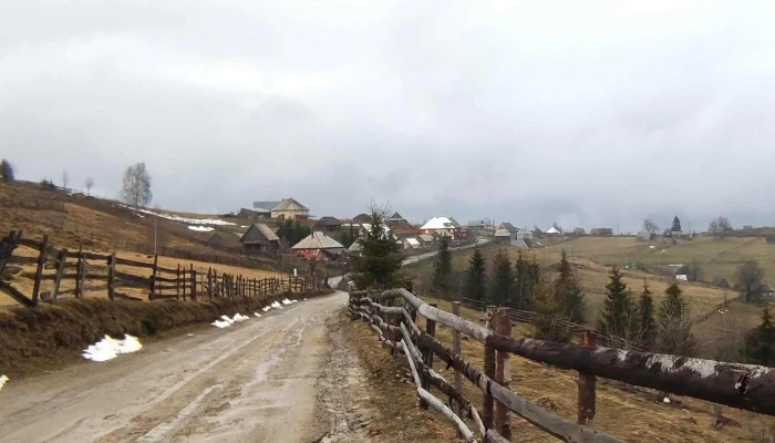Cabana Rustica Fotografii - Măguri
