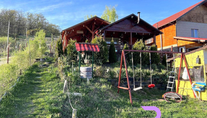 Cabana Rustica Podari -  Exterior - Podari