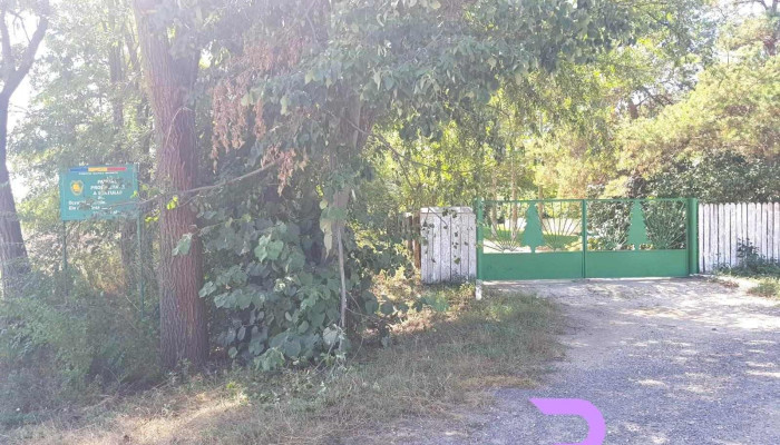 Cabana Suditi -  De La Proprietar - Sudiţi