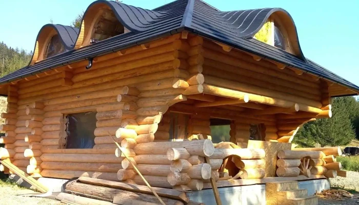 Cabana Trei Brazi - România
