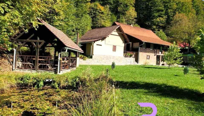 Cabana Valea Neagră 1si 2 - Firiza