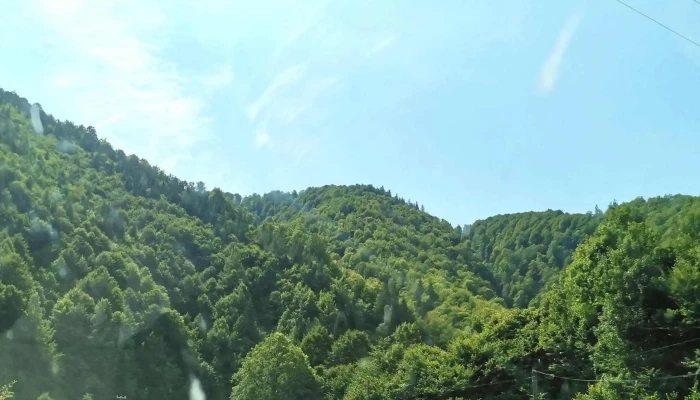 Cabana Valea Sadului -  Adresă - Râu Sadului