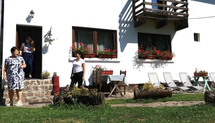 Cabana Valea Sadului -  Fotografii - Râu Sadului