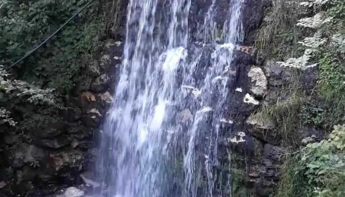 Cabana Valea Sadului -  Videoclipuri - Râu Sadului