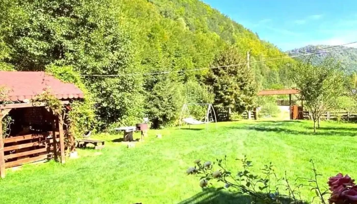 Cabana Zeita Padurii - Lunca Largă