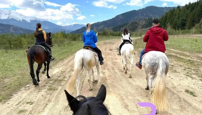 Cai Borsa Maramures - Borșa