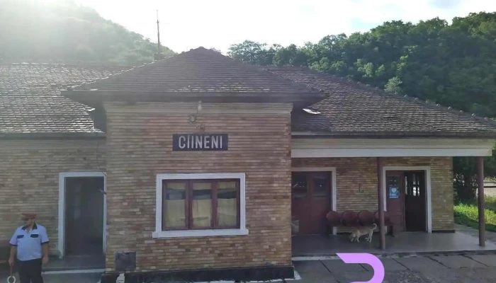 Câinenii Mari - Câinenii Mari
