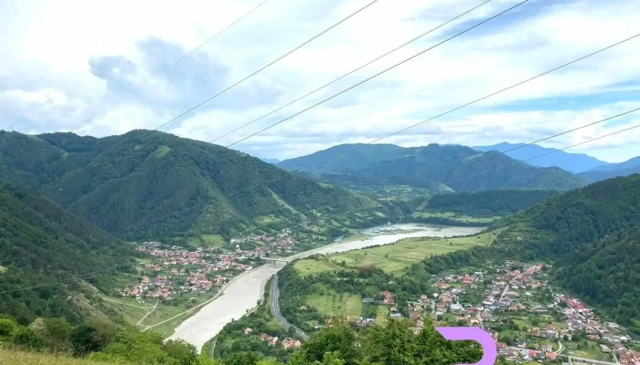 Cainenii Mici Cum Să Ajungi Acolo - Câinenii Mici