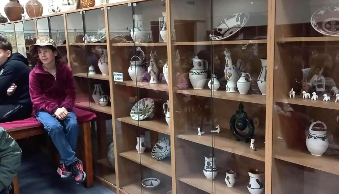 Caminul Cultural Vladesti - Vlădești