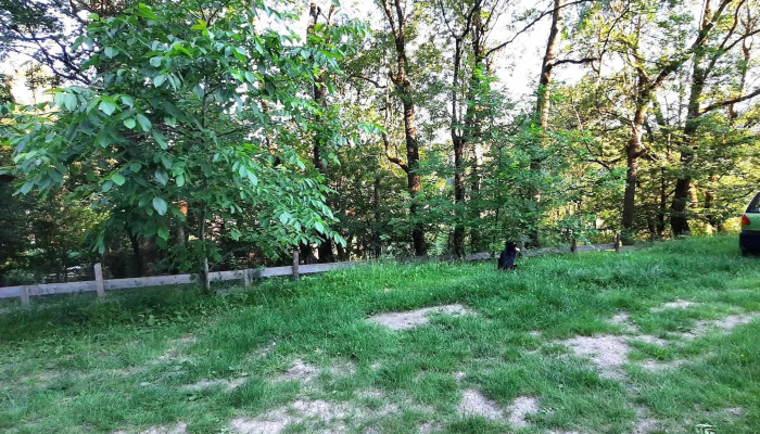 Casa Alina -  Prețuri - Soveja