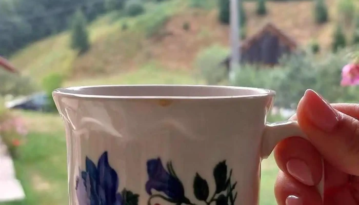 Casa Anca Si Nicusor Mancaruribauturi - Poiana Mărului