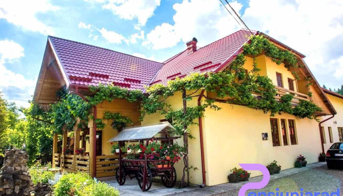 Casa Andreea - Sucevița