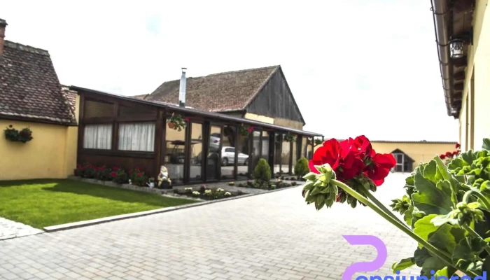 Casa Antonia Homestay -  Exterior - Șura Mică