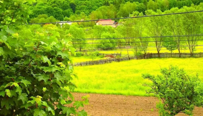 Casa Barkov -  De La Proprietar - Barcani