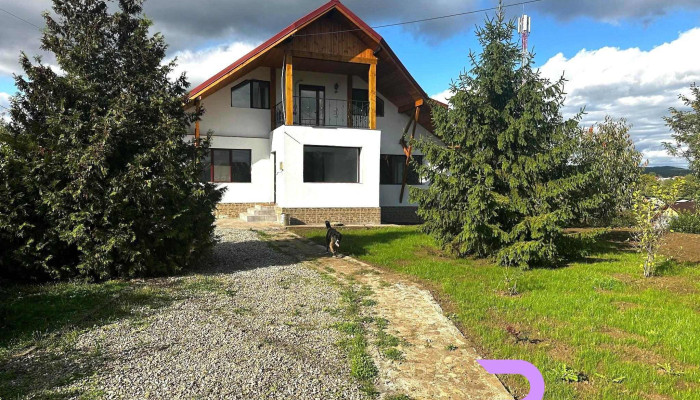 Casa Bordeni - Scorțeni 107529