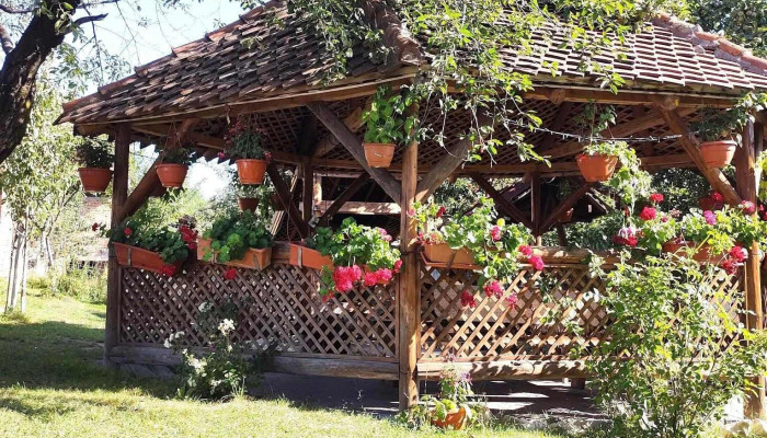Casa Cristalul Muntilor -  De La Vizitatori - Poiana Mărului