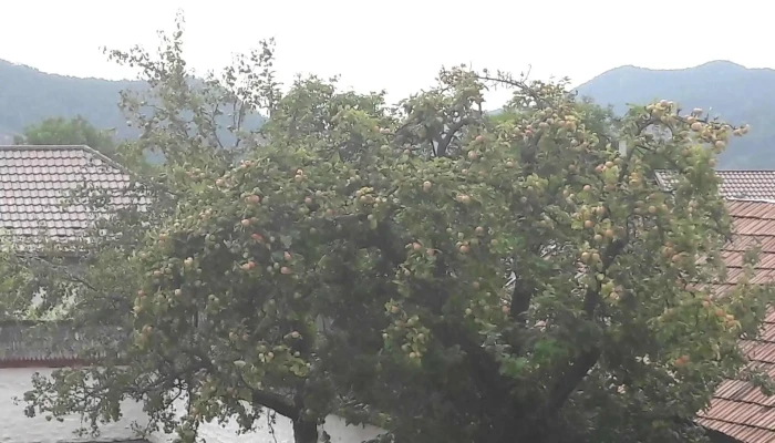 Casa Cu Blazoane Din Chiojdu -  Scor - Chiojdu