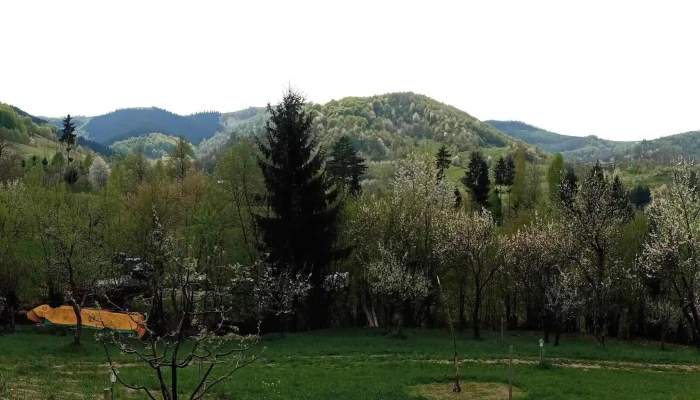Casa De Hogina Maria Comentarii - Valea Borcutului