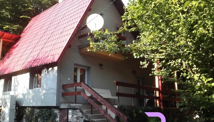 Casa de oaspeti Boga - Pietroasa 417365