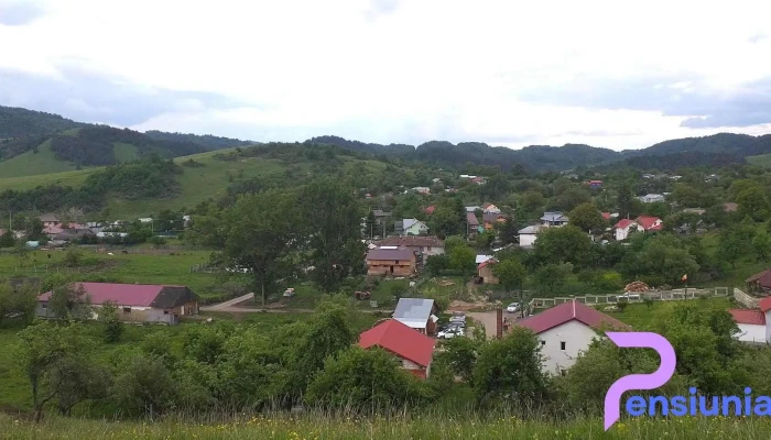 Casa De Vacanta Amicii De La Vizitatori - Dragosloveni