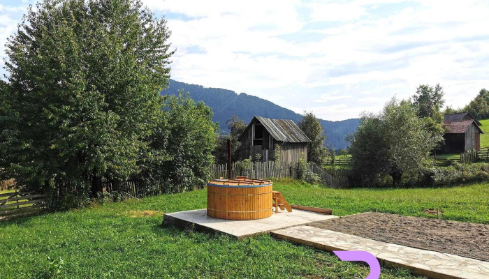 Casa de vacanta Ghiocelul - România