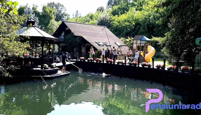 Casa Din Padure Videoclipuri - Dobrița