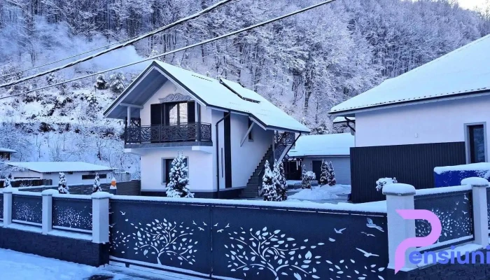 Casa Din Vale -  De La Proprietar - Văliug