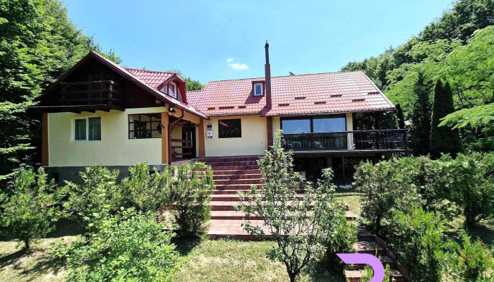 Casa Domeniile Petrache - Valea Unghiului 107333