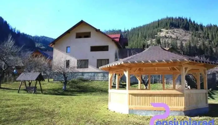 Casa Irinel - România